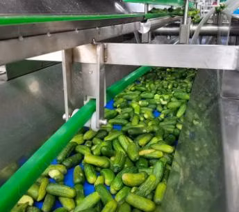 Linha de produção estanhada linha de produção de alimentos enlatados pepino conservado automático
